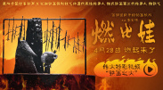 亚洲午夜高清